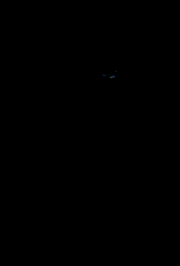 puma.gif (44313 bytes)